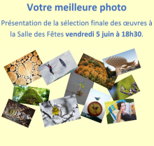 Invitation présentation sélection votre meilleure photo