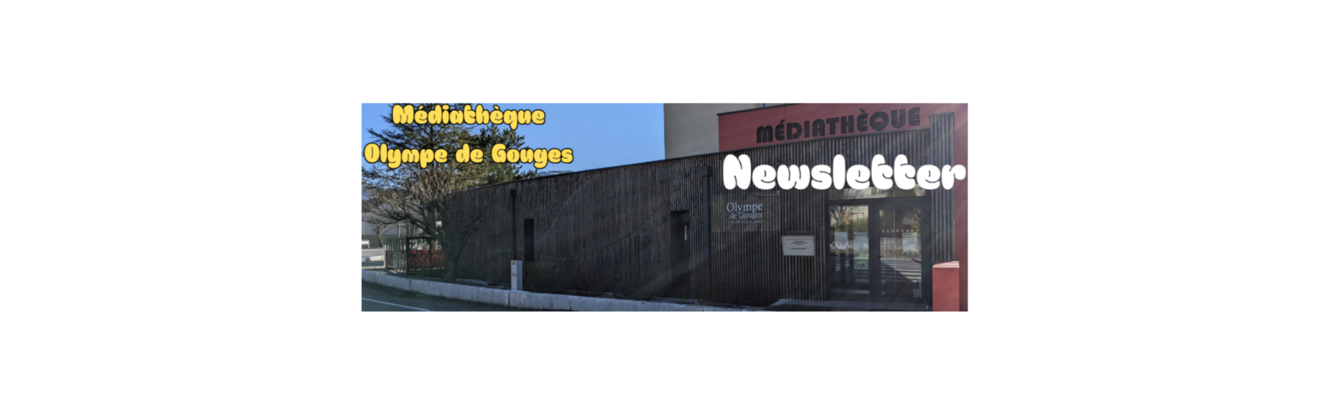 Bannière newsletter médiathèque