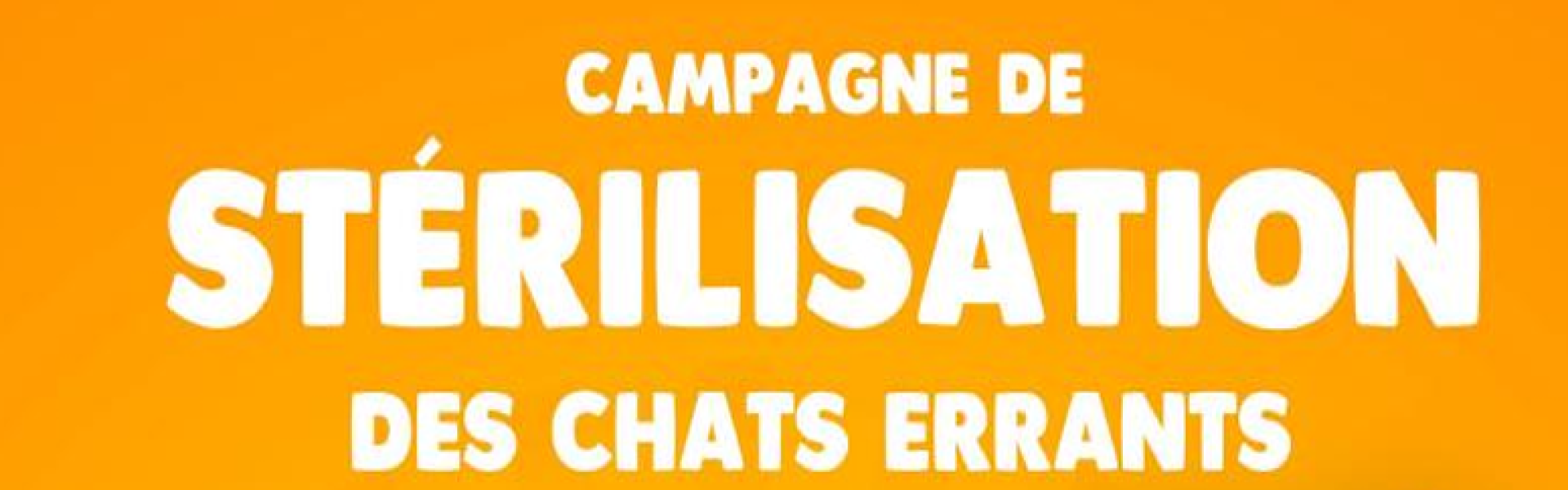 chats