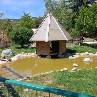 les canards