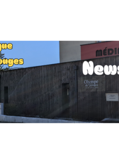 Bannière newsletter médiathèque