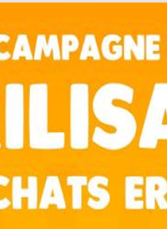 chats